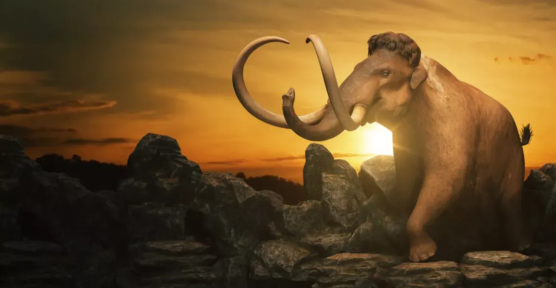 The Mammoth in the Room