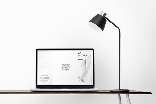 Minimalistic scene of a laptop on a desk with a reading lamp beside it.